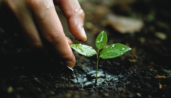 Agir sur l’environnement pour mieux protéger la santé publique